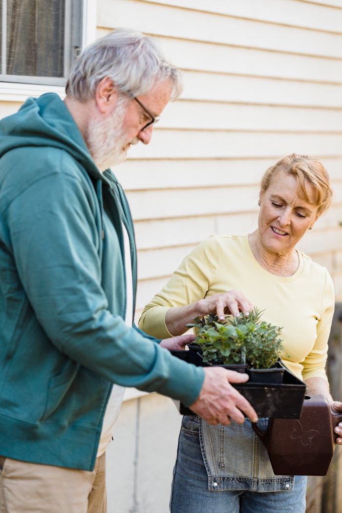 Senior couple enjoying gardening with potted plants outdoors on a sunny day.